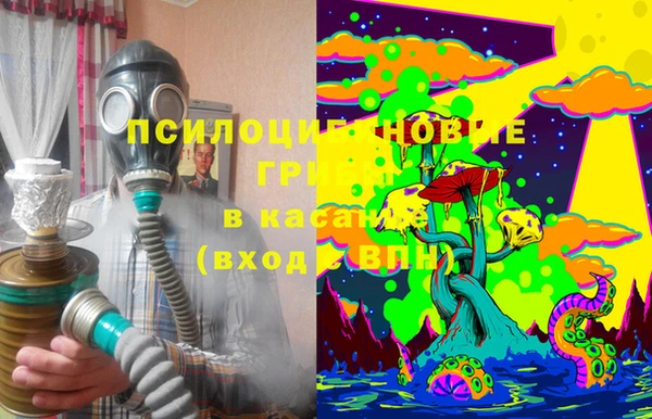 стаф Беломорск