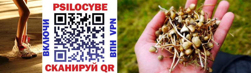 купить наркотик  Верещагино  Псилоцибиновые грибы прущие грибы 